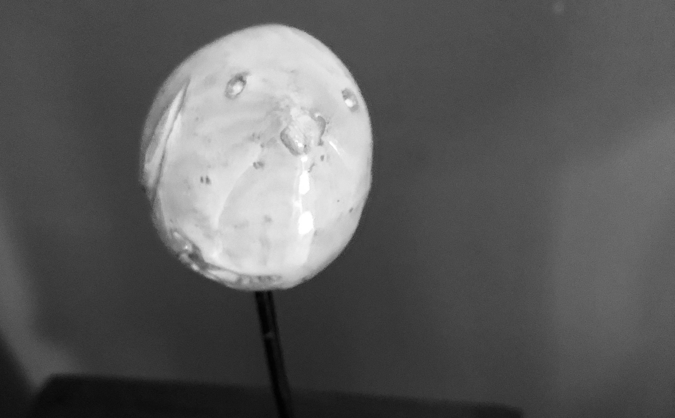 davide-muccinelli-casa-di-moda-berlin-design-interior-design-luxury